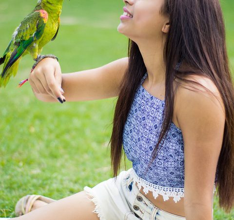 Fakty: podróże, sport i humor