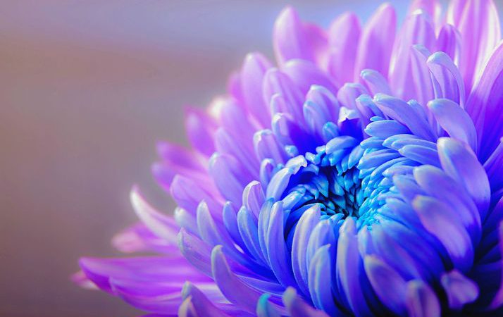 Jakim sposobem utworzyć ogródek mały, ale funkcjonalny?